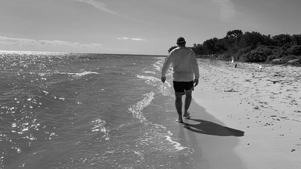 Picturesque at Bahia Honda beach Florida Keys black and white