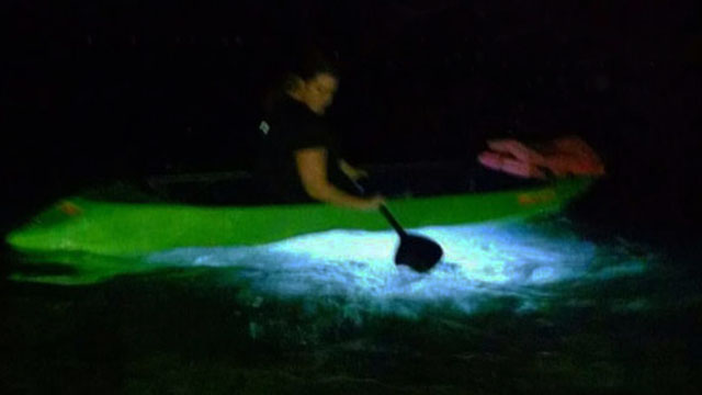 key west night kayaking