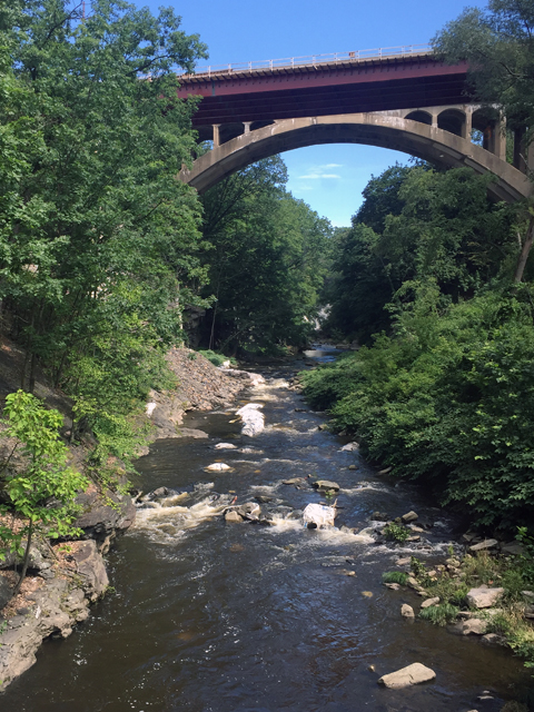 creek under bridge Scranton Pennsylvania